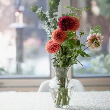 Skærehaven - med plan og succes